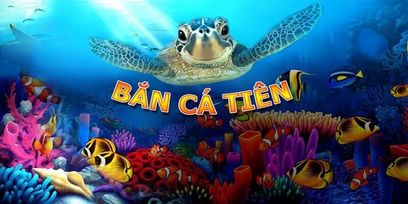 Bắn cá tiểu tiên cá Hit Club: Sảnh game siêu hot cho bet thủ 4 Top các điểm mạnh của bắn cá tiểu tiên